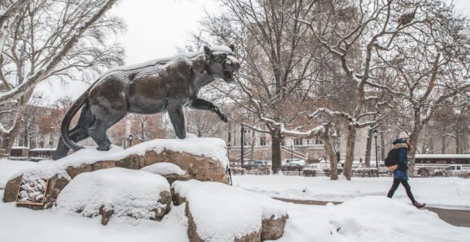 statue of the panther in the snow